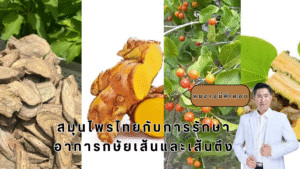 สมุนไพรไทย รักษากษัยเส้น